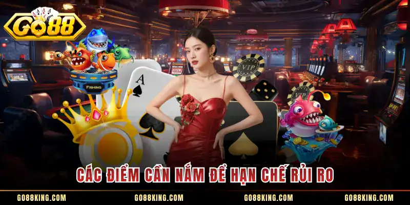 Các điểm cần nắm để hạn chế rủi ro