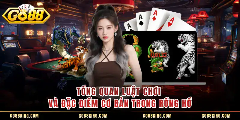 Tổng quan luật chơi và đặc điểm cơ bản trong rồng hổ